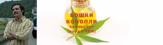 эйфоретик Белокуриха