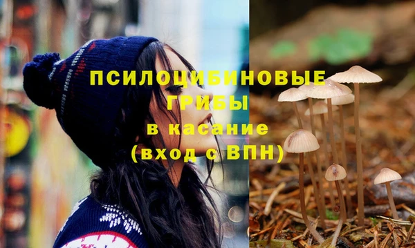 эйфоретик Белокуриха