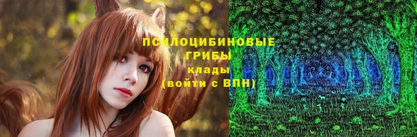 прущие крисы Беломорск