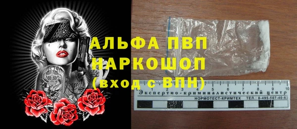 эйфоретик Белокуриха